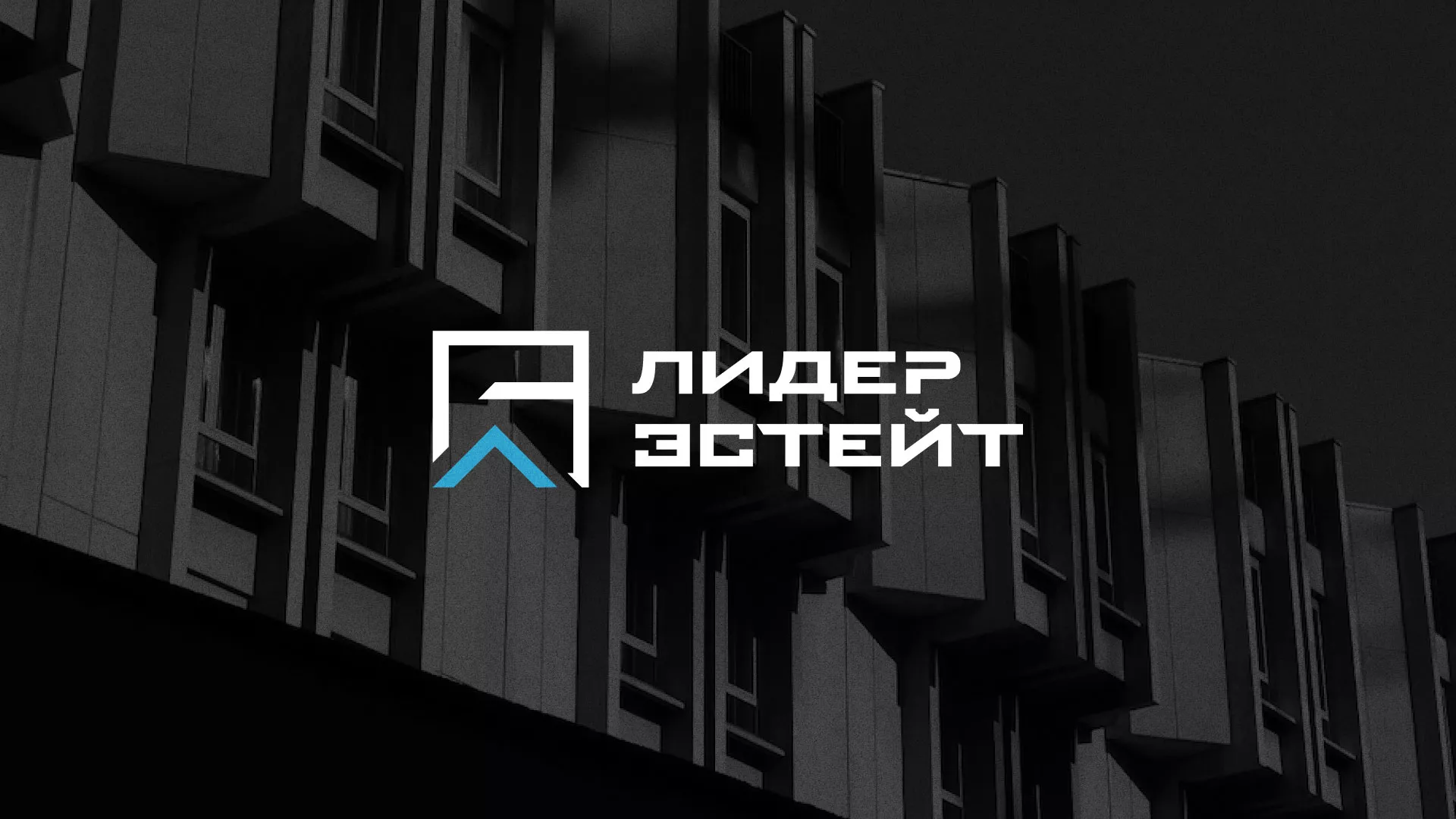 Разработка логотипа агентства недвижимости «Лидер Эстейт» в Инте